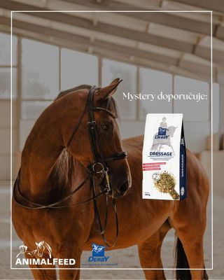 Naše Mystery doporučuje Dressage Müsli od Derby🌟 DERBY® Dressage je müsli pro koně bohaté na živiny a podporující...